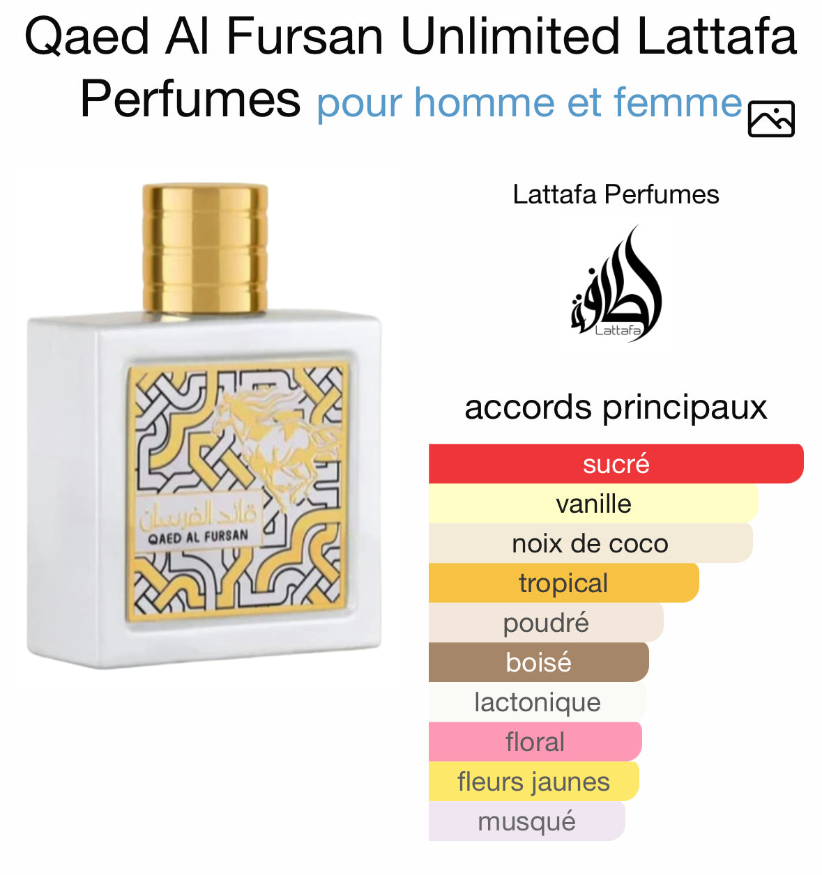 Qaed Al Fursan Unlimited - Lattafa