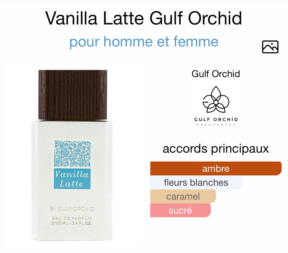 Vanilla Latte - By Gulf Orchid