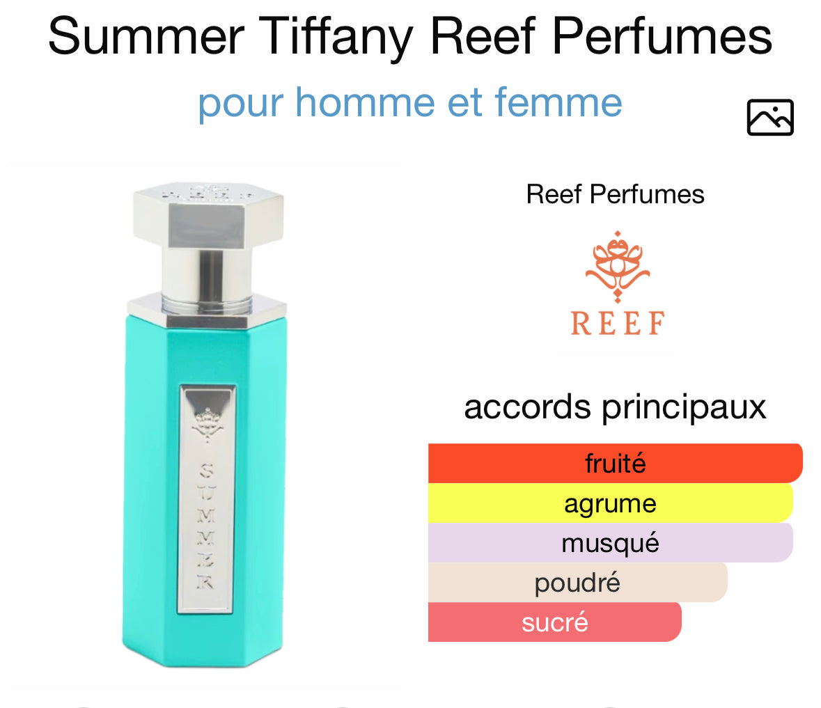 Summer Tiffany - Reef Perfumes