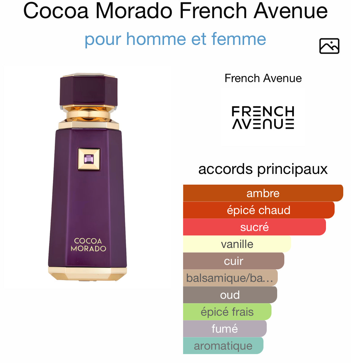 Cocoa Morado - French Avenue